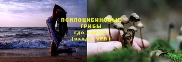 тгк Балабаново