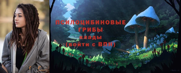дмт Балахна
