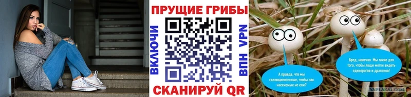 хочу наркоту Тутаев Галлюциногенные грибы ЛСД