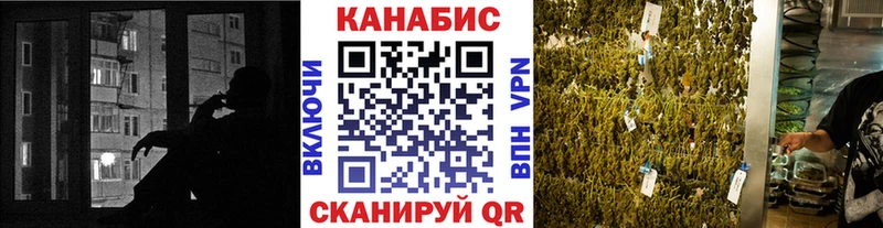 Бошки марихуана планчик  площадка состав  Тутаев 